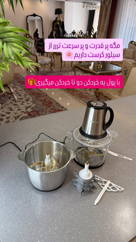 خردکن سیلور کرست مدل۲۰۲۱ـ۶کاره